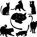 Black cat silhouette collections Royalty Free Stock Photo