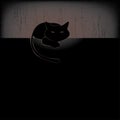 Black cat silhouette collections Royalty Free Stock Photo