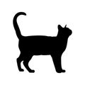 Black cat silhouette. Elegant cat side view with turn around head.