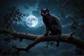 Black cat silhouette Full moon background Scary night imagery Eerie tree branch scene