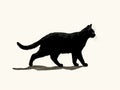 A black cat silhoutette illustration Royalty Free Stock Photo