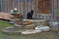 A black cat sits on the doorstep of a village house and waits for food Royalty Free Stock Photo