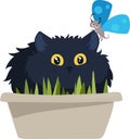 Black cat sits in a flower pot with a blue butterfly Royalty Free Stock Photo