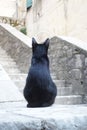 Black cat sits on the railing of a stone staircase