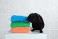 Black cat sits on a white nightstand and rubs against terry towels. Background gray tile