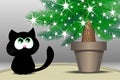 Black cat is sitting on the carpet under Christmas tree Royalty Free Stock Photo