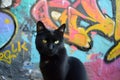 a black cat sitting in front of a colorful graffiti wall Royalty Free Stock Photo