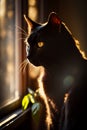 Black cat sitting in front of window with the sun shining on it. Generative AI Royalty Free Stock Photo