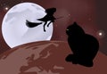 Black cat sitting on the globe and a witch flying over it on a moonlit night in celebration of Halloween Royalty Free Stock Photo