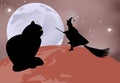 Black cat sitting on the globe and a witch flying over it on a moonlit night in celebration of Halloween Royalty Free Stock Photo