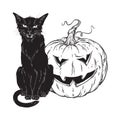 Black cat sitting with halloween pumpkin isolated over white background vector illustration. Witches familiar spirit animal, gothi Royalty Free Stock Photo