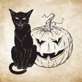 Black cat sitting with halloween pumpkin over old grunge paper background vector illustration. Witches familiar spirit animal. Royalty Free Stock Photo