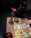 Black cat sitting near the table. The fortune teller lays out on a wooden table the tarot cards by the light of a candle. Royalty Free Stock Photo