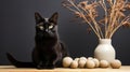 A black cat sitting next to a vase of round objects