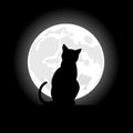 Black cat sitting opposite to the moon in night of the Halloween Royalty Free Stock Photo