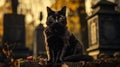 A black cat sitting on a stone ledge