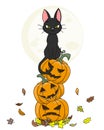 Black cat sitting on top of pumpkins with the moon in the background Royalty Free Stock Photo