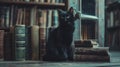 Black cat sitting with vintage books in an old library. Antique book collection with a feline guardian. Concept of Royalty Free Stock Photo