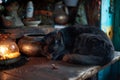 Black cat sleeping peacefully beside a glowing lantern