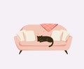 Black cat sleeping on a pink cozy sofa with pillows Royalty Free Stock Photo