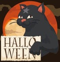 Black Cat Holding a Scroll in a Night of Halloween, Vector Illustration Royalty Free Stock Photo