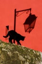 Black cat on the street. The shadow of the lantern, the red background of the wall Royalty Free Stock Photo