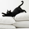 One black cat lies and stretches on white pillows. Royalty Free Stock Photo