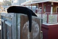 A black cat takes an afternoon nap on a wood cabinet in a spot of warm sunshine Royalty Free Stock Photo