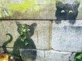 Black cat urban comic graffiti Royalty Free Stock Photo