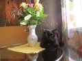 Black cat and vase with flowers