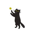 Black cat vector illustration, Cute kitten playing with ball. Vector illustration in flat cartoon style on white Royalty Free Stock Photo