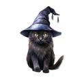 Black Cat Wearing a Blue Witch Hat with Yellow Eyes Royalty Free Stock Photo