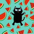 Black cat wearing sunglasses jumping or making snow angel. Watermelon slice icon cut with seed Triangle fruit cut. Hello Summer. C Royalty Free Stock Photo
