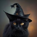 Black cat wearing witch hat. Hallowen.