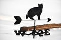 Black Cat Weather Vane Stuck in Snow