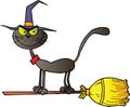 Black cat which fly a broom Royalty Free Stock Photo