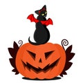 Black cat with wings and horns on a pumpkin for Halloween. Hellish devil cat and Jack s head. Suitable for tattoos and parties for