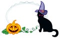 Black cat in witch hat and Halloween pumpkin. Royalty Free Stock Photo