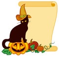 Black cat in witch hat and Halloween pumpkin Royalty Free Stock Photo