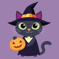 Black cat with a witch hat and pumkin. Halloween . Royalty Free Stock Photo
