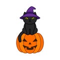 Black cat in a witch hat sits on a halloween pumpkin Royalty Free Stock Photo
