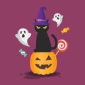 Black cat in a witch hat sitting on a Halloween pumpkin Royalty Free Stock Photo