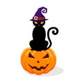 Black cat in a witch hat sitting on a Halloween pumpkin. vector illustration Royalty Free Stock Photo