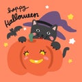 Black cat with pumpkin Halloween cartoon illustration Royalty Free Stock Photo