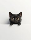 Black cat with yellow eye peeking over white surface edge Royalty Free Stock Photo