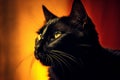 a black cat with yellow eyes against a red background