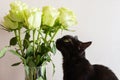 Black cat with yellow eyes and a bouquet of white roses in a glass vase Royalty Free Stock Photo