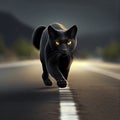 Black cat with yellow eyes crosses road, close-up. Bad omen, superstition, magic Royalty Free Stock Photo