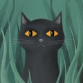 A black cat with yellow eyes hides in a thicket of grass.