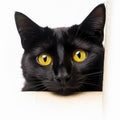 a black cat with yellow eyes peeking out from behind a wall